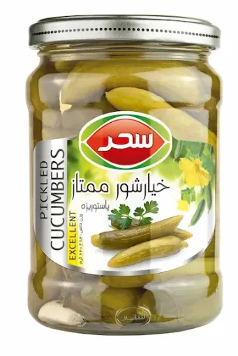 تصویر  خیار شور سحر ممتاز